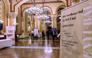 0_IMG_20260130_182634 – nagy