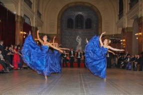 Szechenyi-bal-2008-1