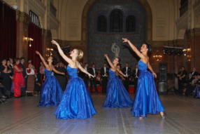 Szechenyi-bal-2008-2