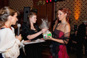 Szechenyi-bal-2010-9 