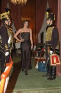 Szechenyi-bal-2011-24 