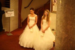 Szechenyi-bal-2012-10