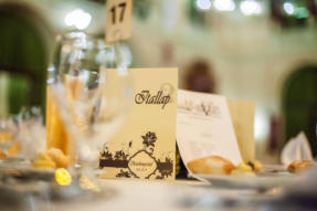 Szechenyi-bal-2015-27