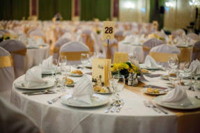Szechenyi-bal-2015-29