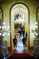 Szechenyi-bal-2015-6