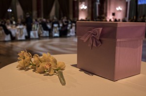Szechenyi-bal-2016-9