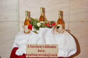 Széchenyi-bál 2007   